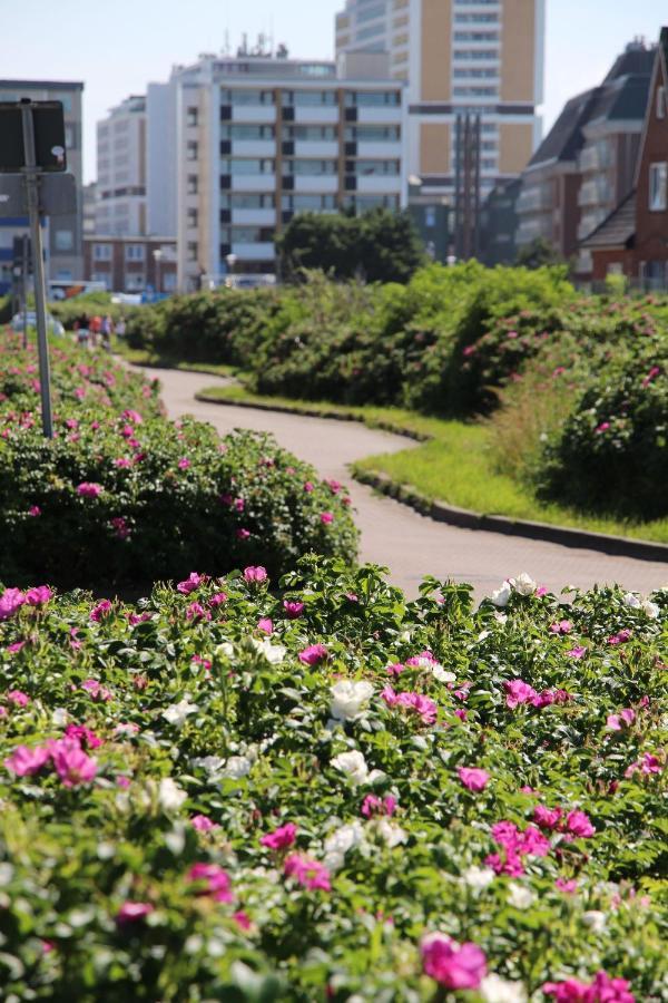 Duenenblick-app-11 Apartment Westerland